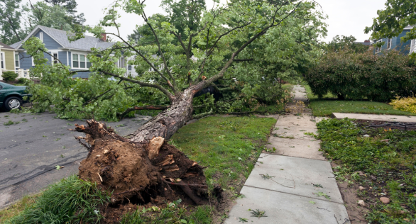 For more information about our Emergency Relief Loan, please call us at 219.392.3900.