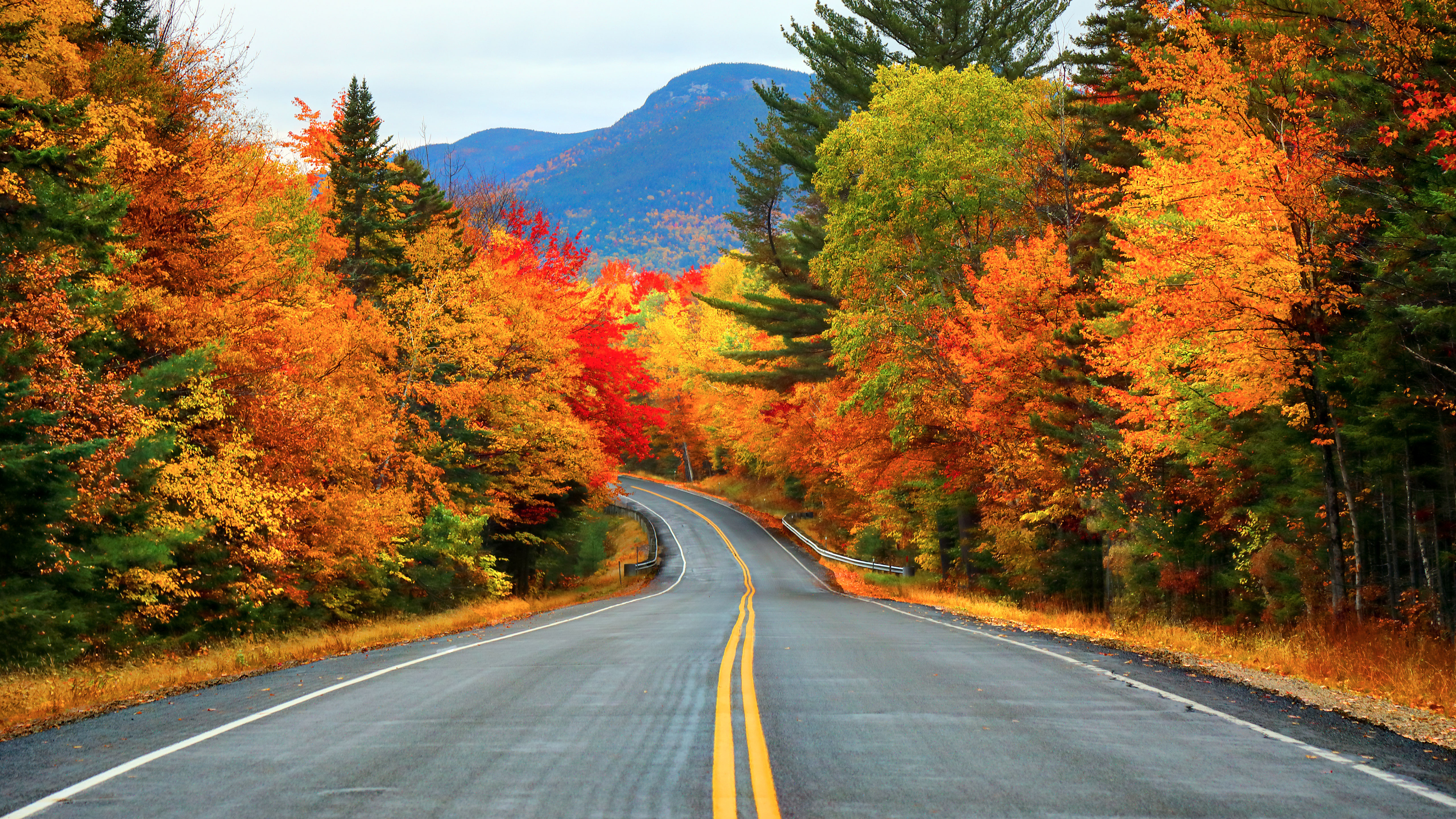 Fall road